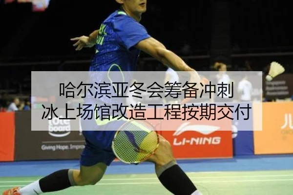ha-er-bin-ya-dong-hui-chou-bei-chong-ci-bing-shang-chang-guan-gai-zao-gong-cheng-an-qi-jiao-fu-3-471.jpg
