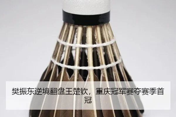fan-zhen-dong-ni-jing-fan-pan-wang-chu-qin-chong-qing-guan-jun-sai-duo-sai-ji-shou-guan-2-298.jpg